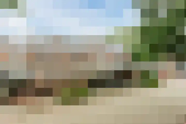 Seringenhof 52 Schagen thumbnail 56