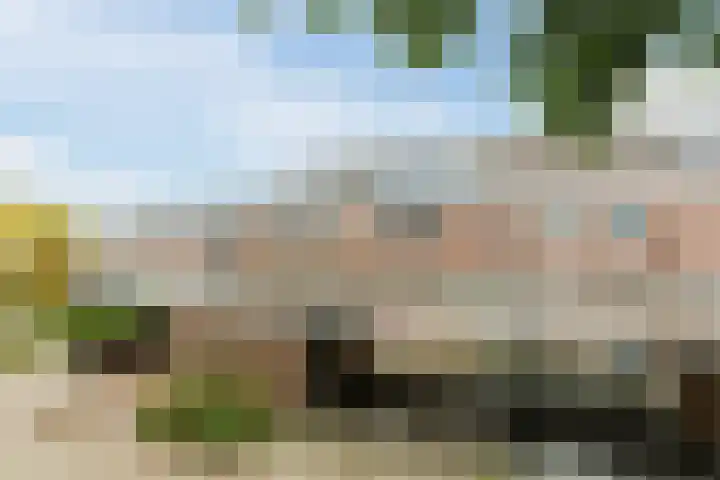 Seringenhof 52 Schagen thumbnail 6