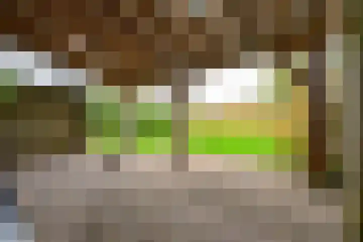 Seringenhof 65 Schagen thumbnail 13