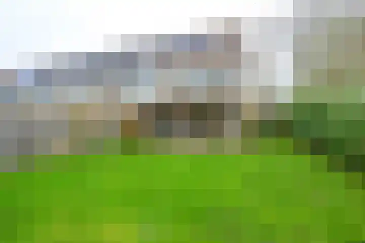 Seringenhof 65 Schagen thumbnail 15
