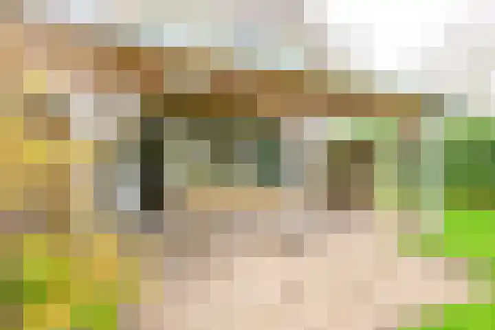 Seringenhof 65 Schagen thumbnail 16