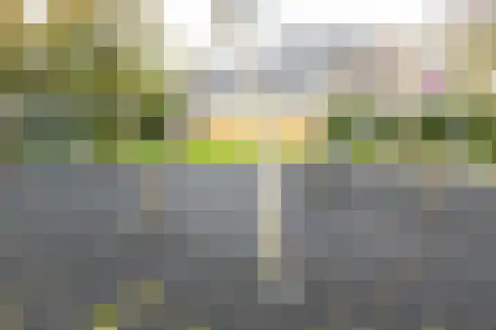 Seringenhof 65 Schagen thumbnail 38