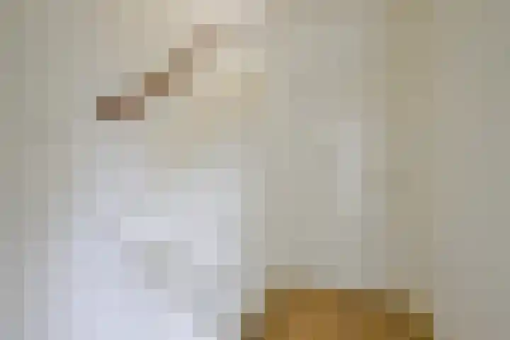 Seringenhof 65 Schagen thumbnail 4