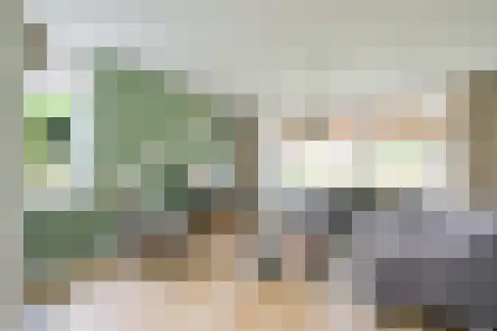 Seringenhof 65 Schagen thumbnail 5