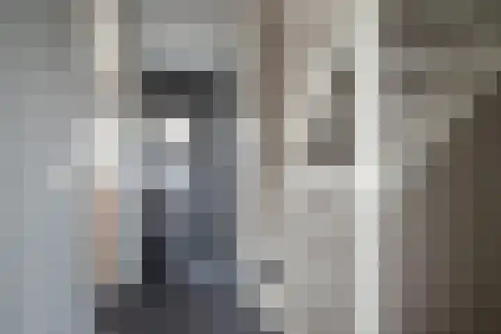 Seringenhof 72 Rouveen thumbnail 14