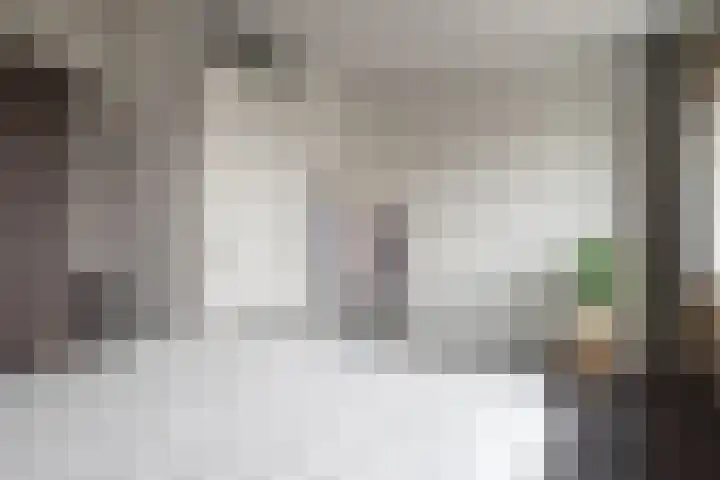 Seringenhof 72 Rouveen thumbnail 17