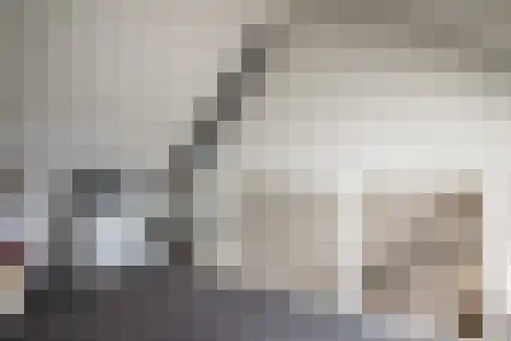 Seringenhof 72 Rouveen thumbnail 23