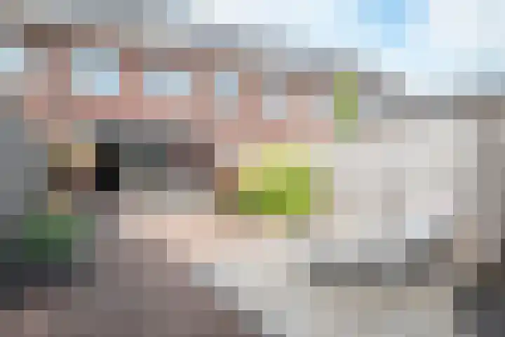 Seringenhof 72 Rouveen thumbnail 27
