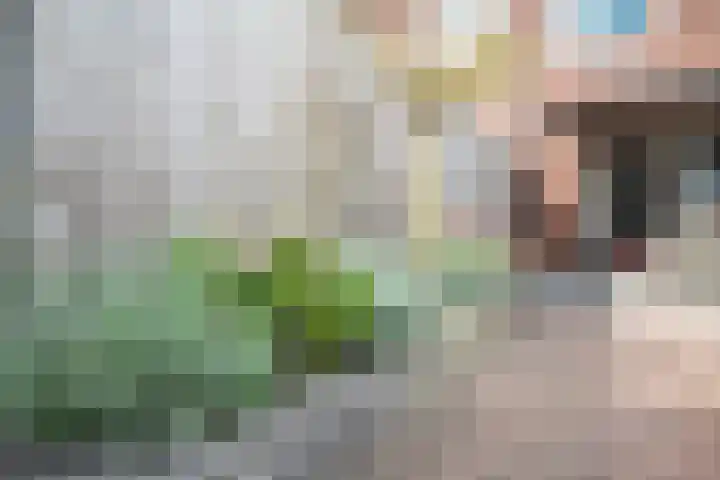 Seringenhof 72 Rouveen thumbnail 28