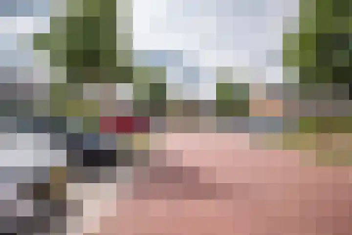 Seringenhof 72 Rouveen thumbnail 4