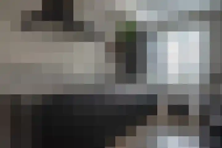 Seringenhof 72 Rouveen thumbnail 8