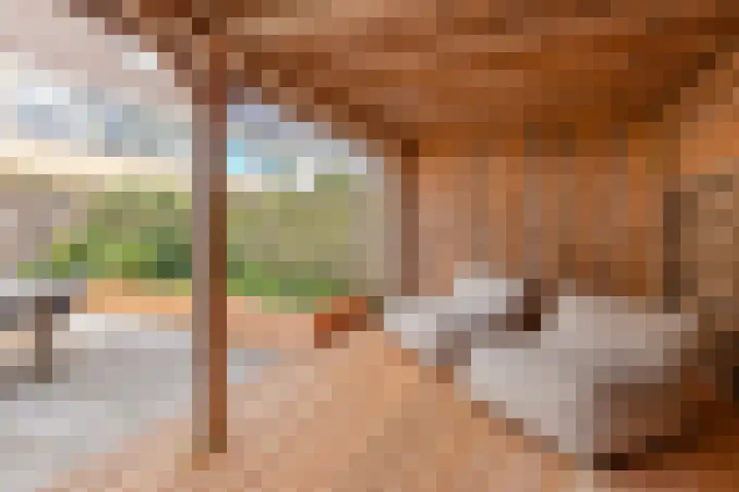 Seringenhof 77 Schagen thumbnail 34
