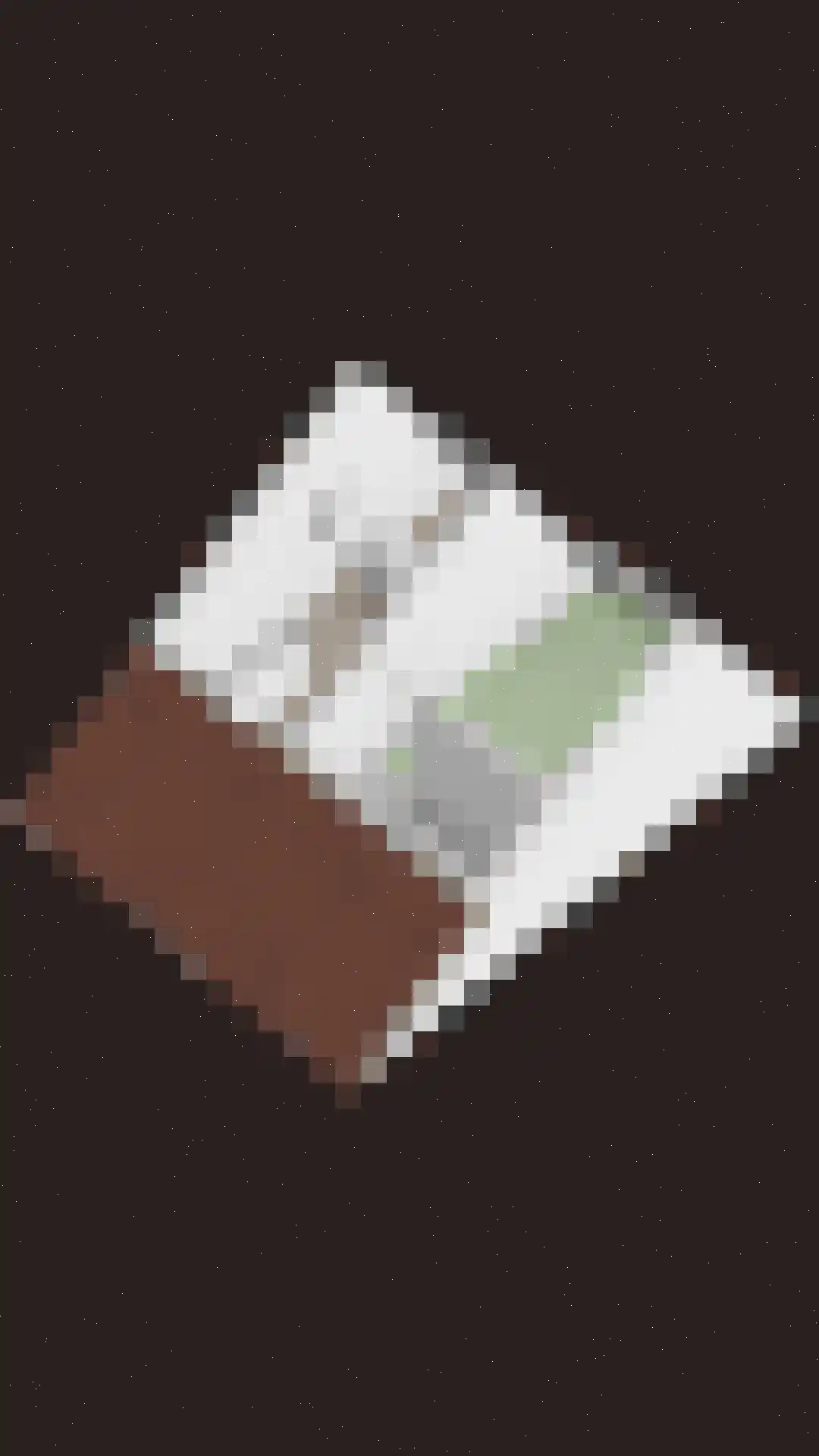 Seringenhof 77 Schagen thumbnail 47