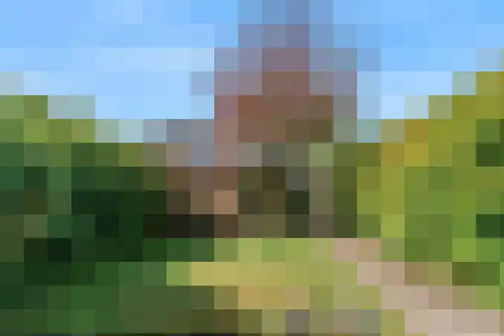 Seringenhof 8 Beverwijk thumbnail 28