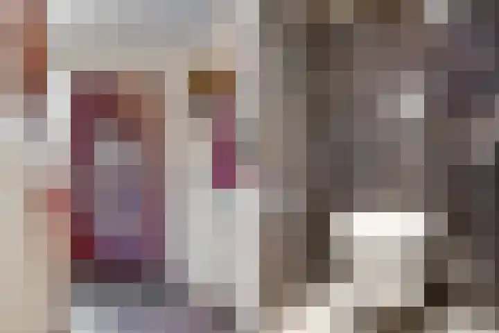 Seringenhof 8 Beverwijk thumbnail 5