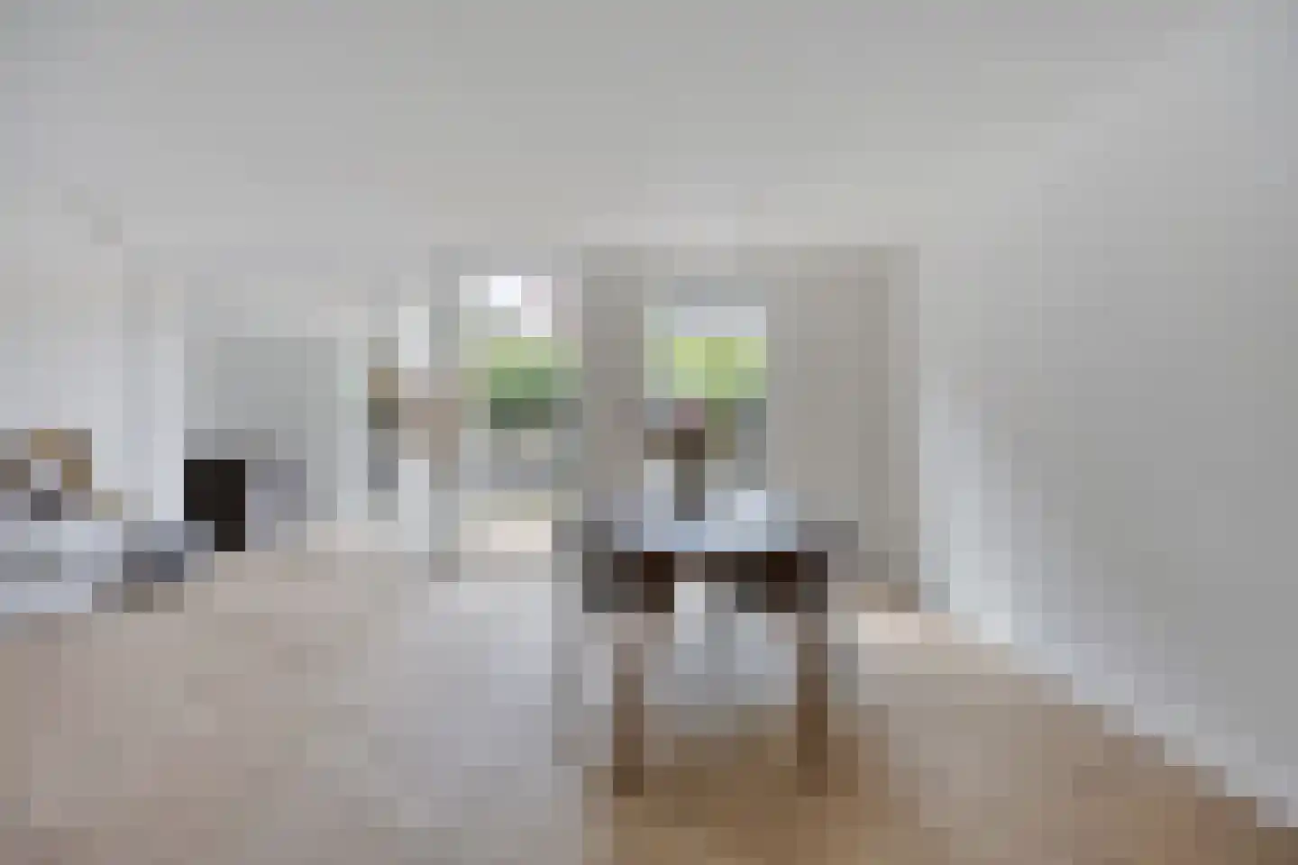 Seringenhof 8 Oss thumbnail 10