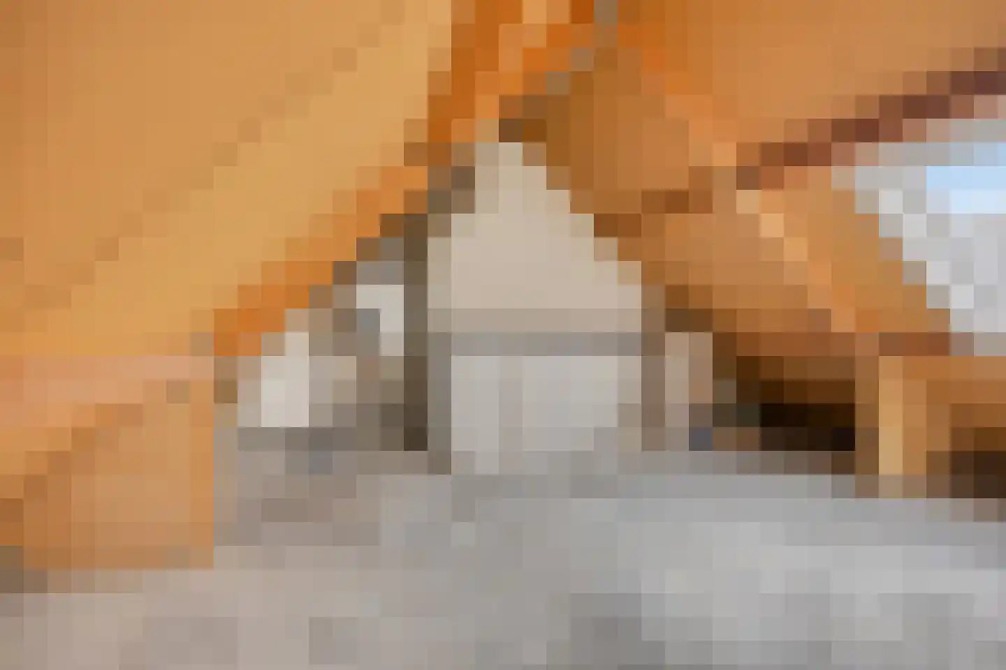 Seringenhof 8 Oss thumbnail 33