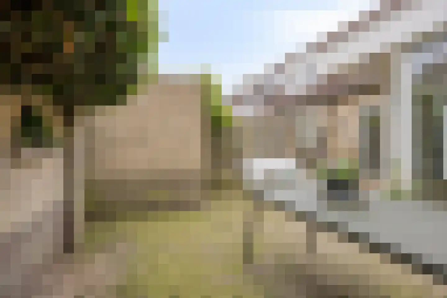 Seringenhof 8 Oss thumbnail 39