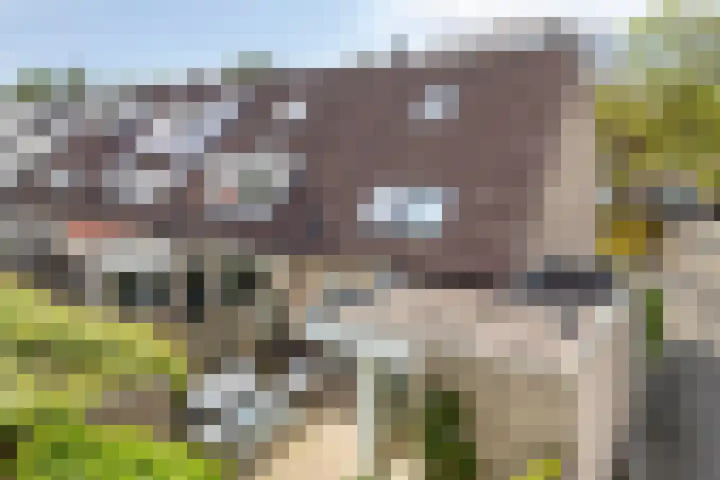 Seringenhof 8 Oss thumbnail 40