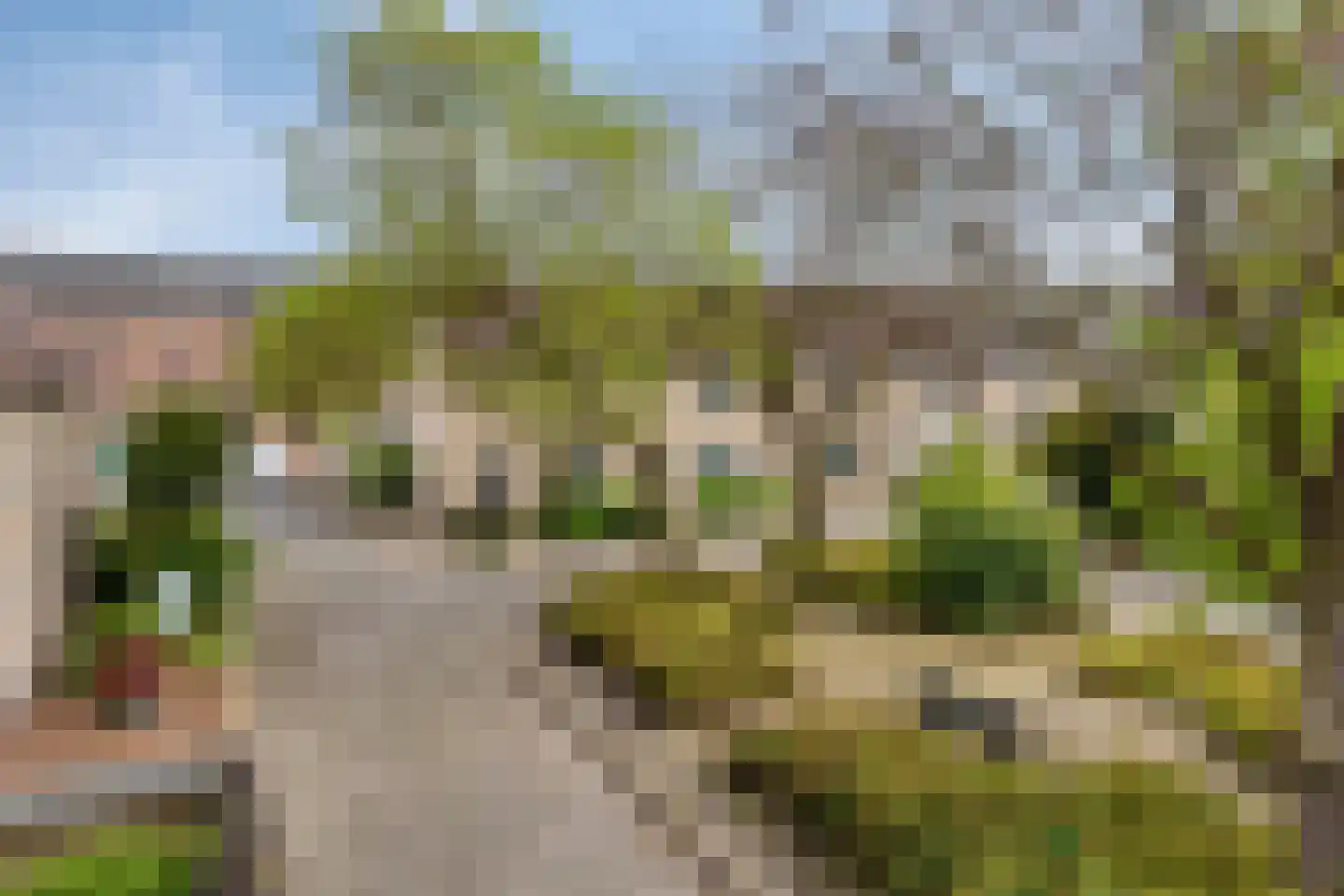 Seringenhof 8 Oss thumbnail 44