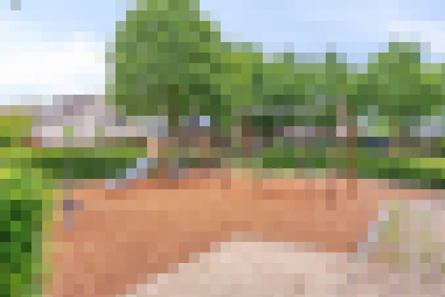 Seringenhof 8 Oss thumbnail 47