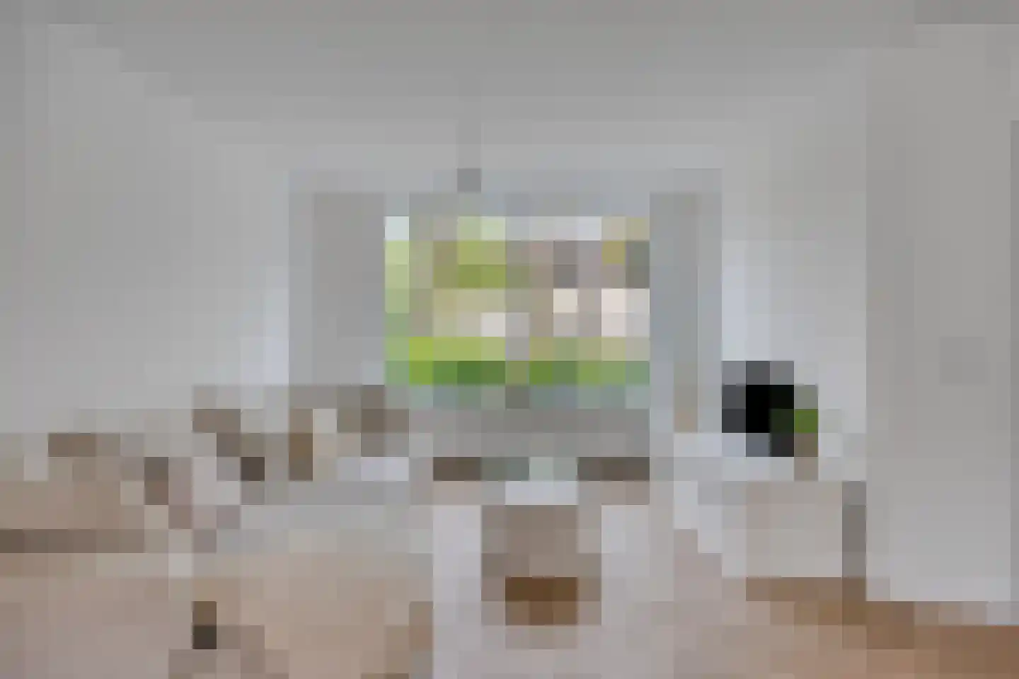 Seringenhof 8 Oss thumbnail 5