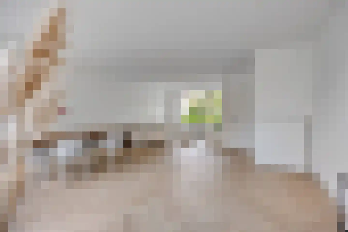 Seringenhof 8 Oss thumbnail 7