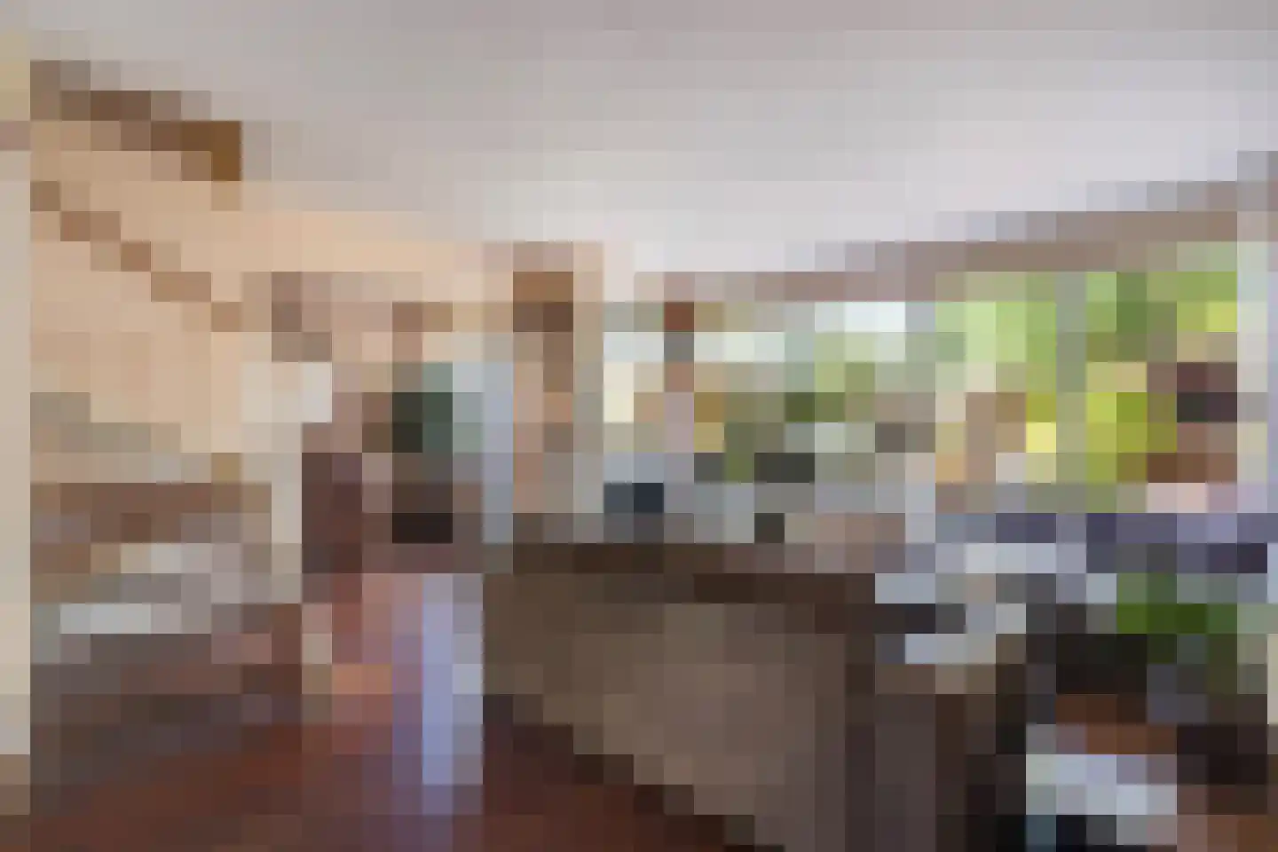 Seringenhove 28 Kwintsheul thumbnail 10
