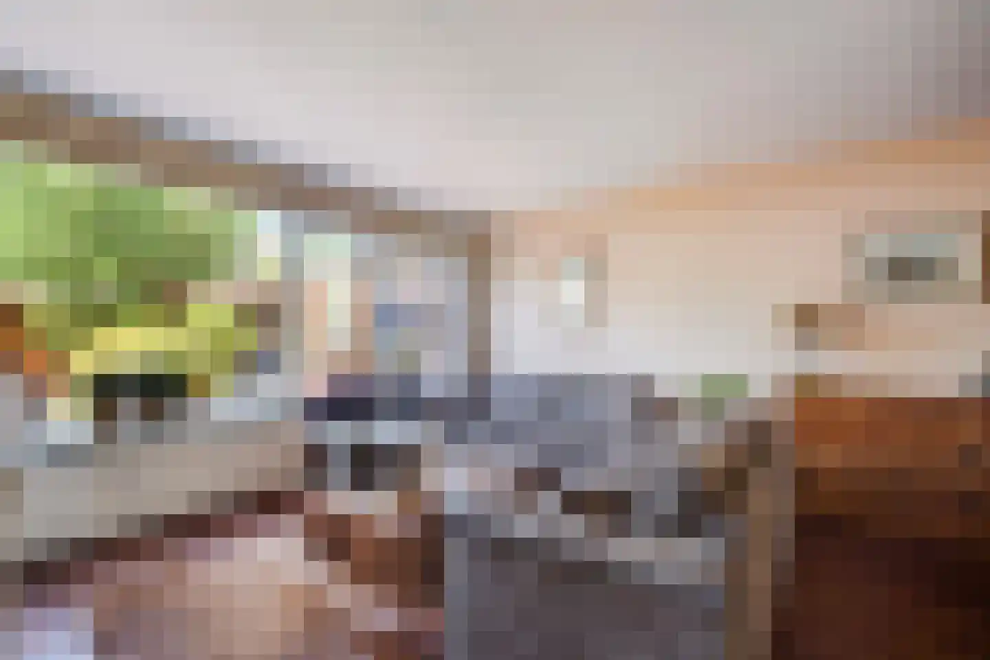 Seringenhove 28 Kwintsheul thumbnail 11