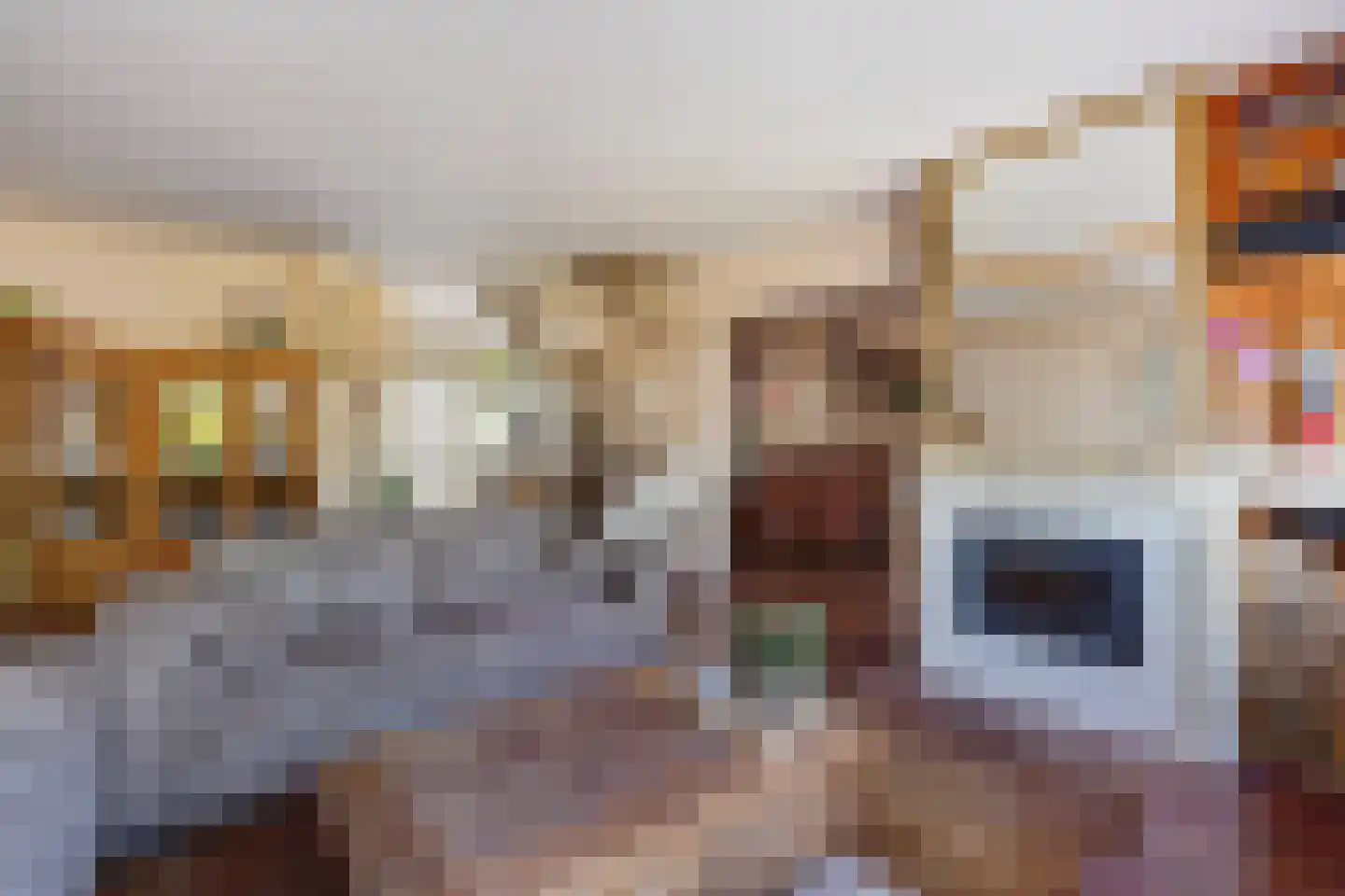 Seringenhove 28 Kwintsheul thumbnail 12