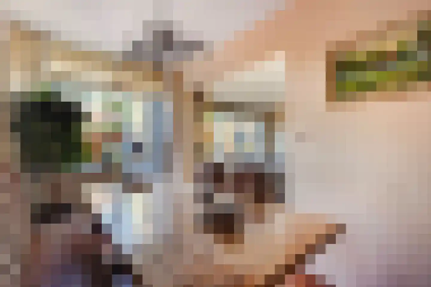 Seringenhove 28 Kwintsheul thumbnail 15