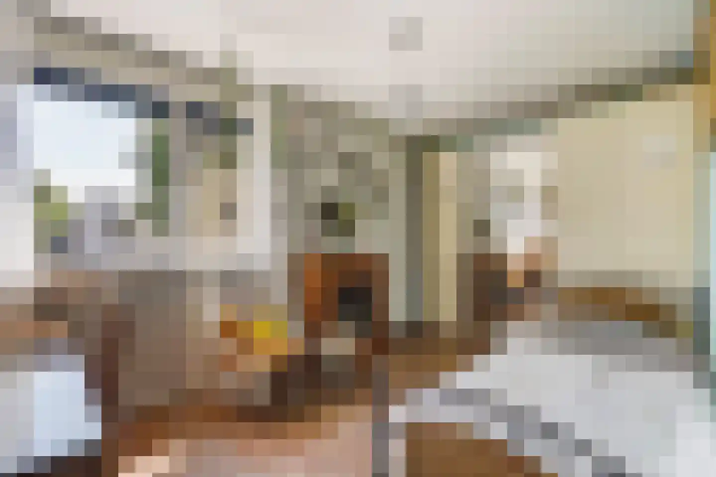 Seringenhove 28 Kwintsheul thumbnail 18