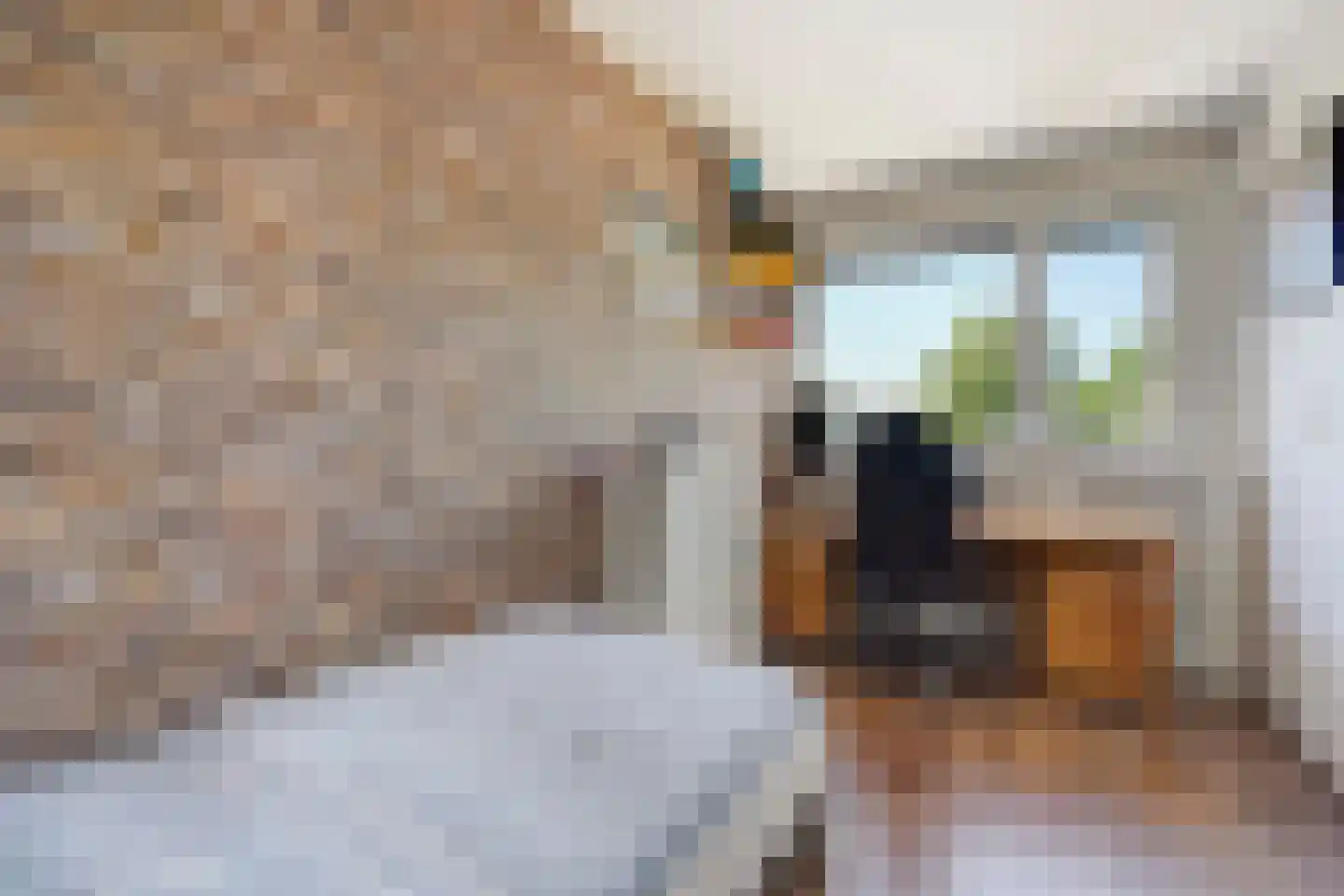 Seringenhove 28 Kwintsheul thumbnail 25