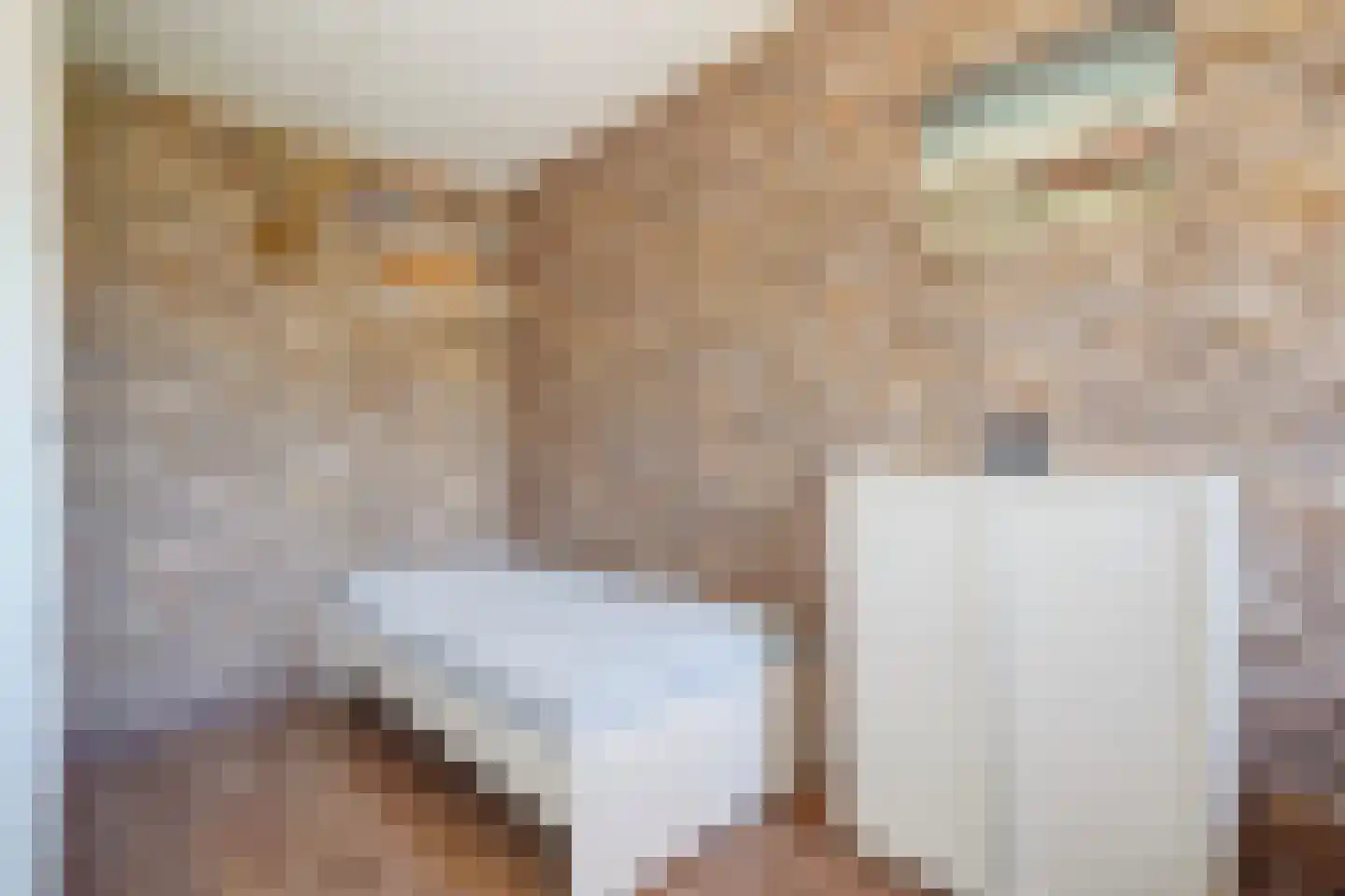 Seringenhove 28 Kwintsheul thumbnail 26