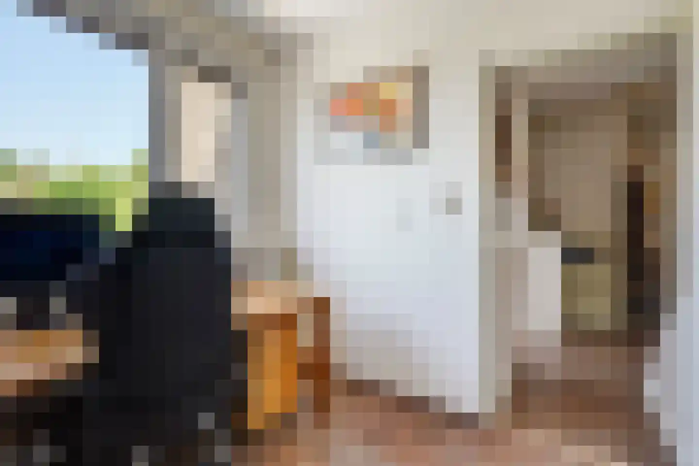 Seringenhove 28 Kwintsheul thumbnail 27