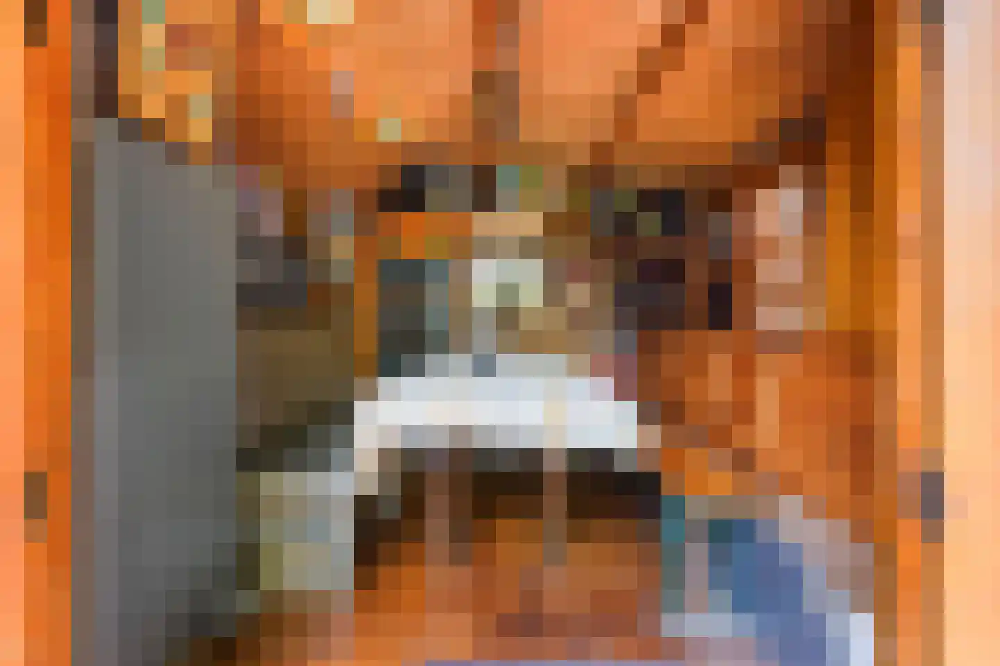Seringenhove 28 Kwintsheul thumbnail 29