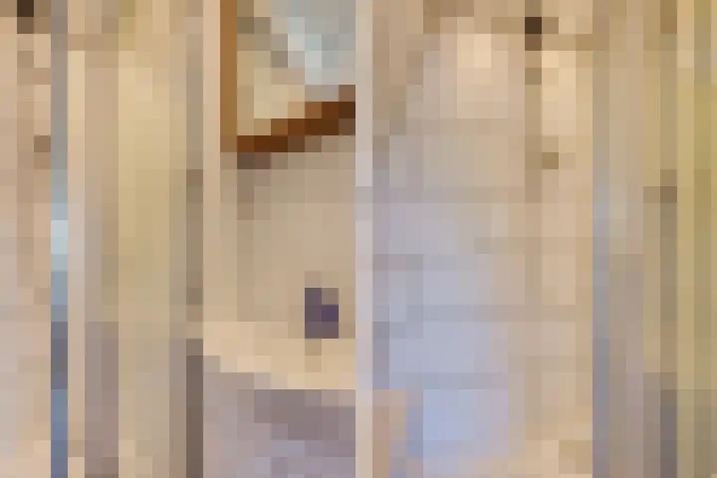 Seringenhove 28 Kwintsheul thumbnail 34