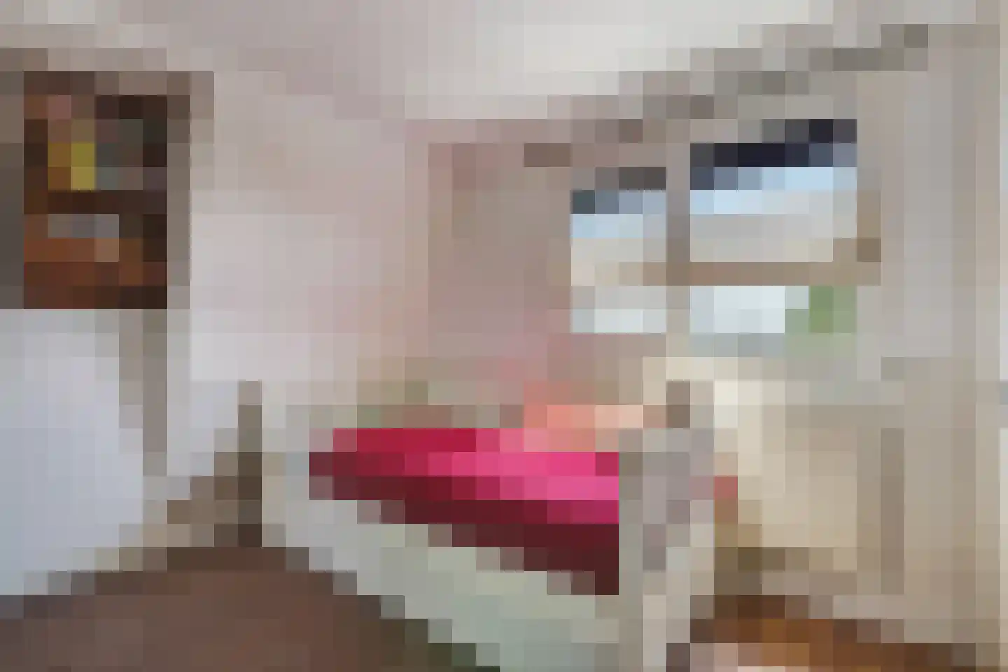 Seringenhove 28 Kwintsheul thumbnail 36