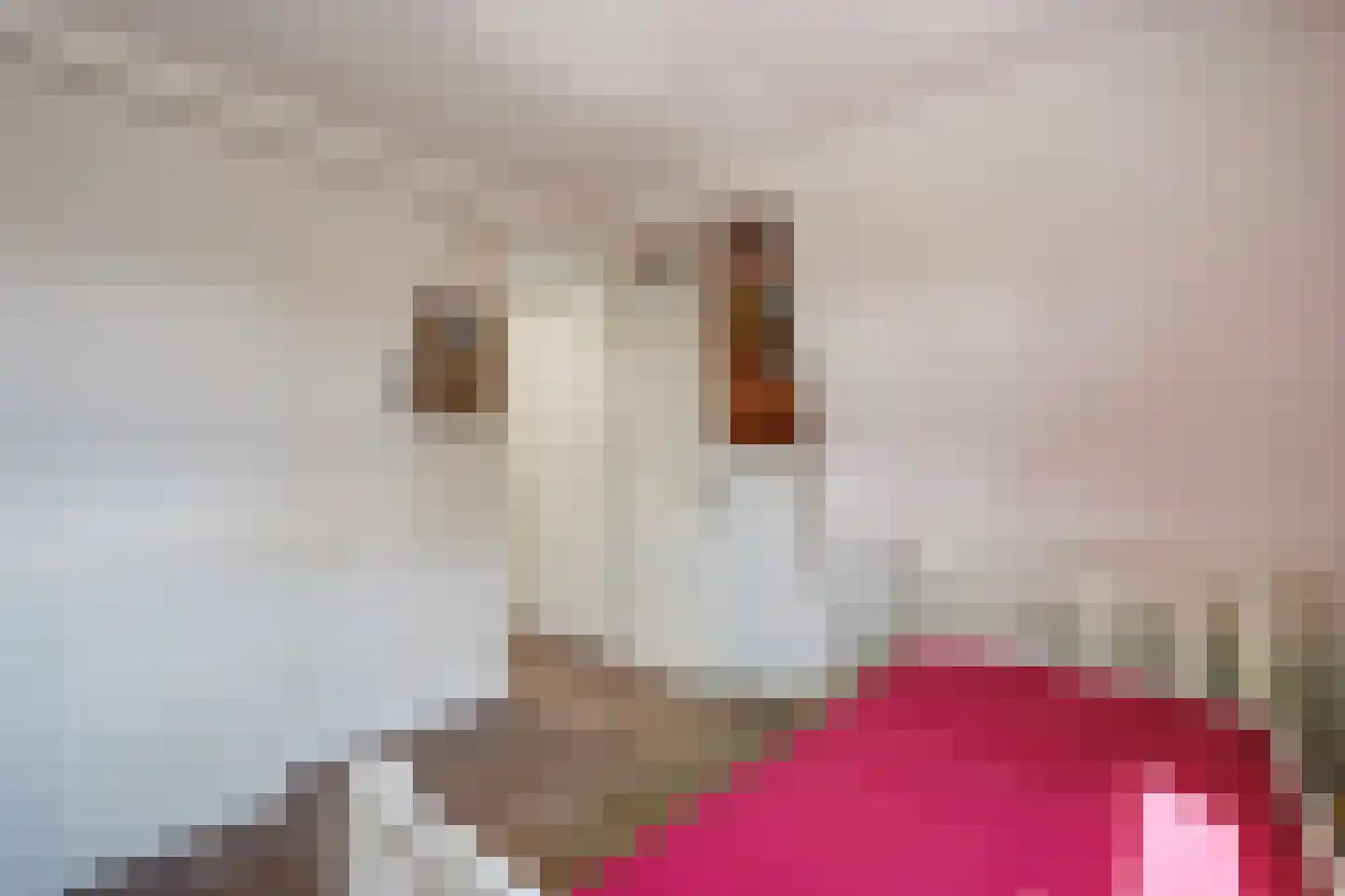 Seringenhove 28 Kwintsheul thumbnail 37
