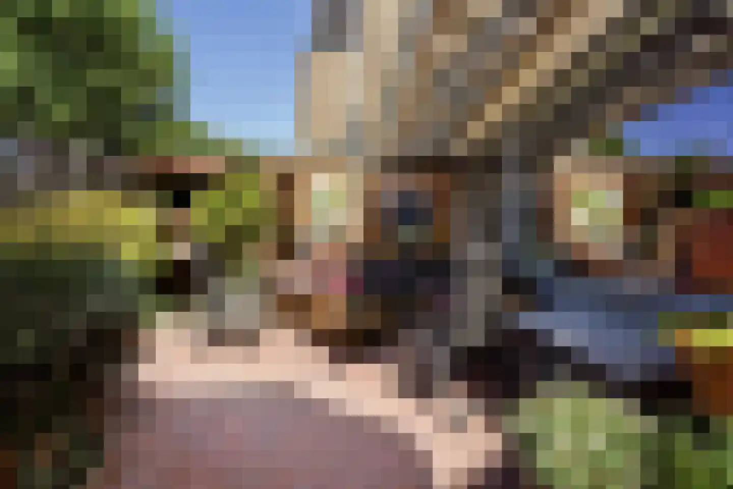 Seringenhove 28 Kwintsheul thumbnail 38