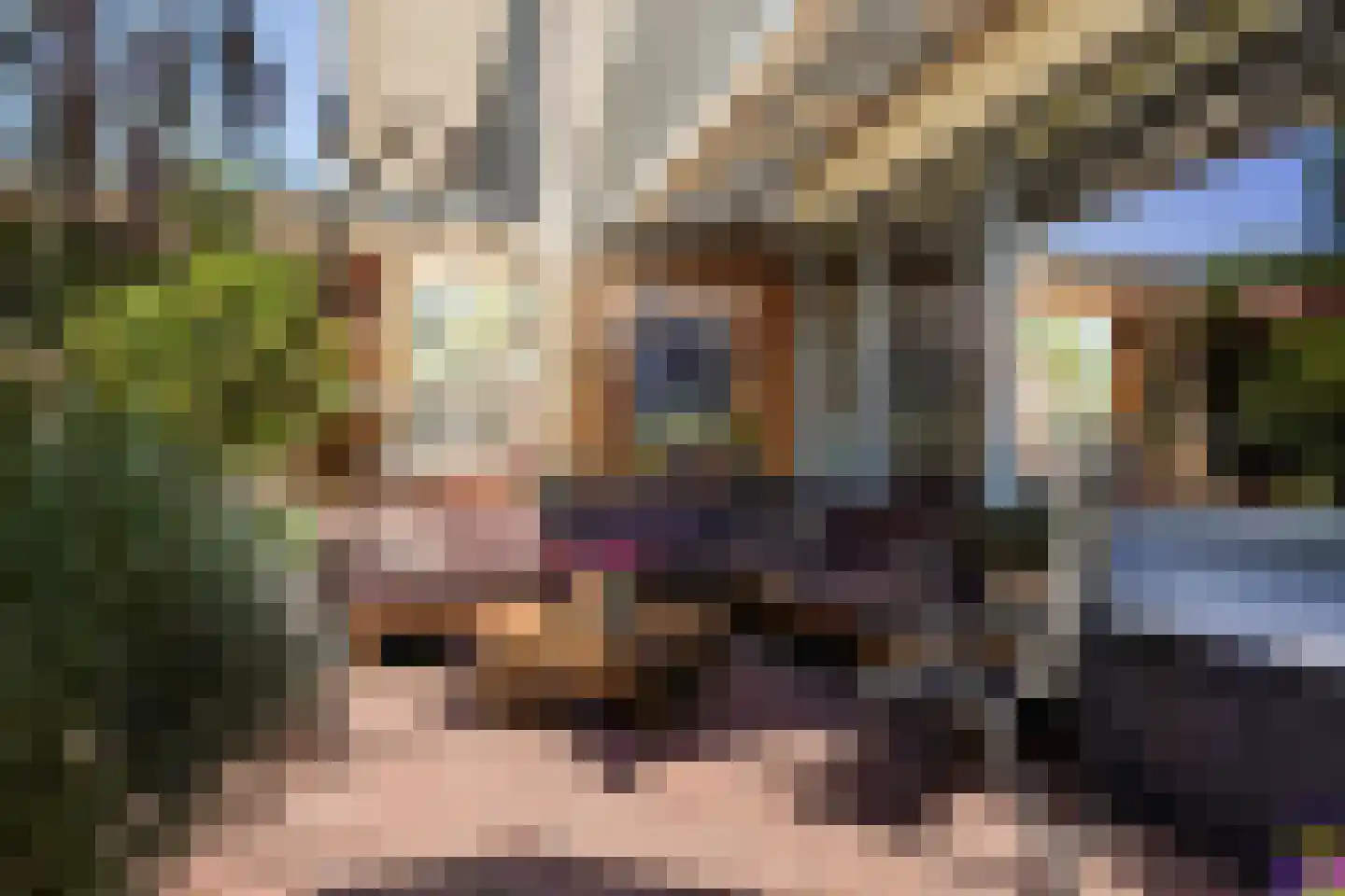 Seringenhove 28 Kwintsheul thumbnail 39