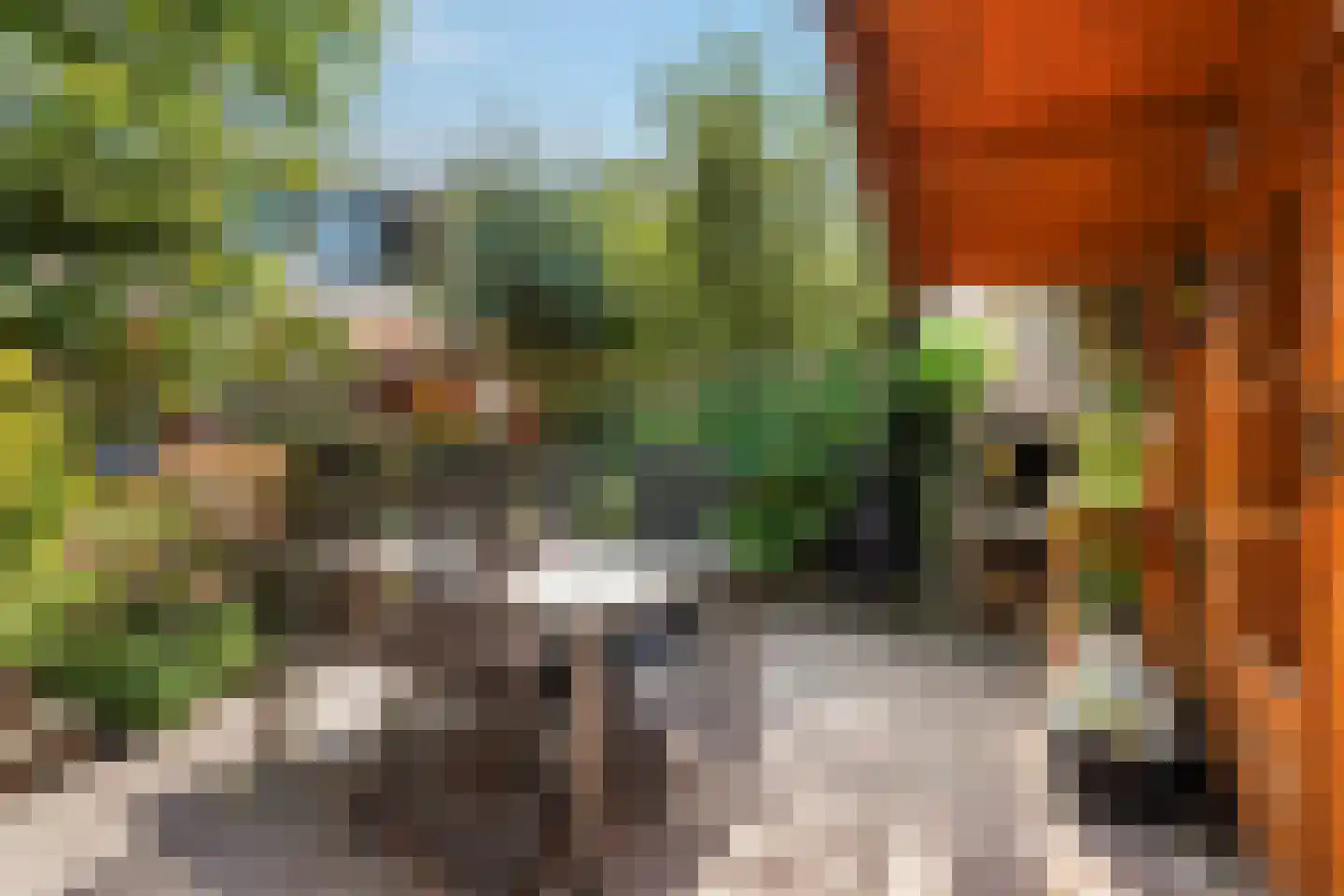 Seringenhove 28 Kwintsheul thumbnail 40
