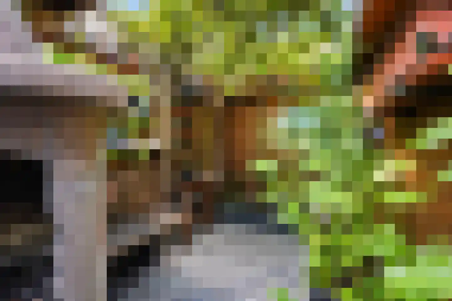 Seringenhove 28 Kwintsheul thumbnail 43