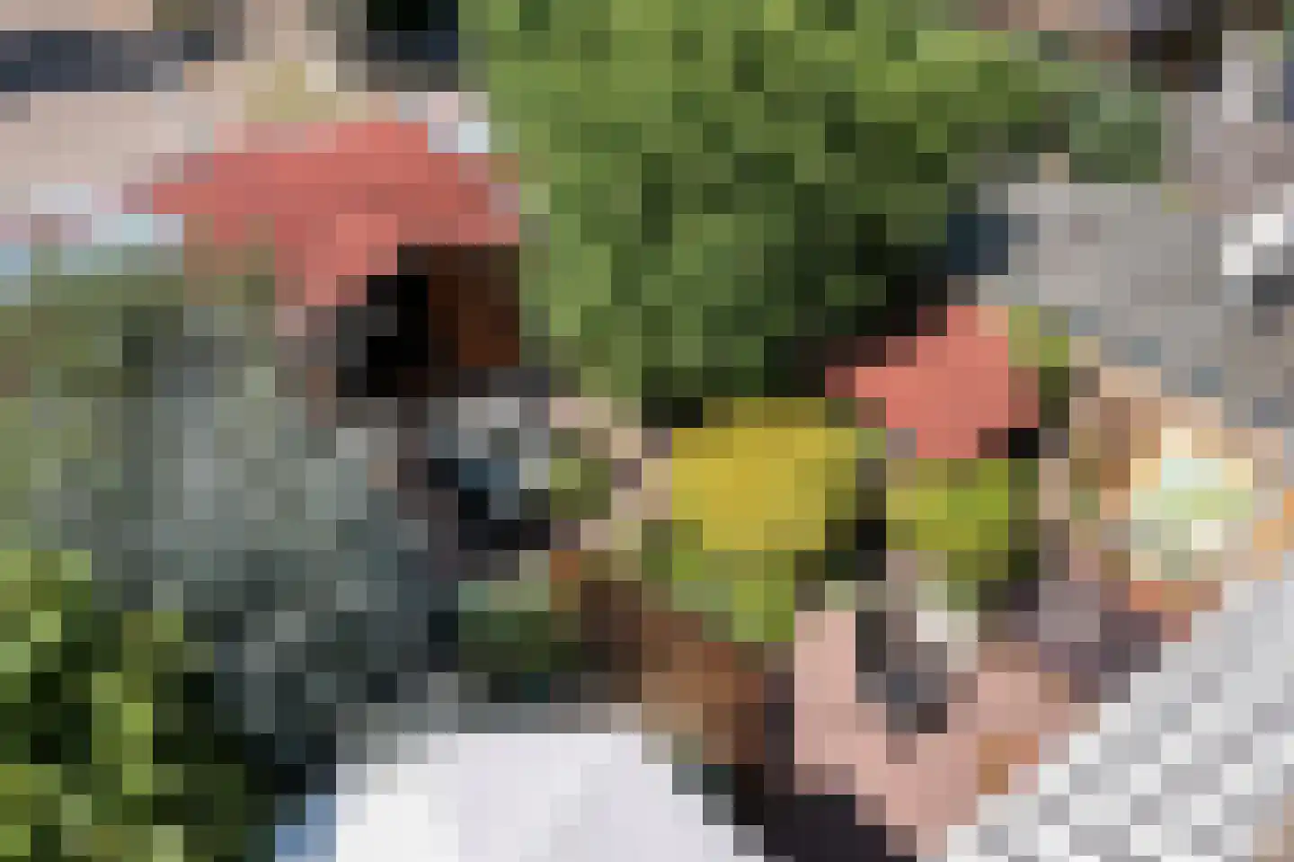 Seringenhove 28 Kwintsheul thumbnail 48