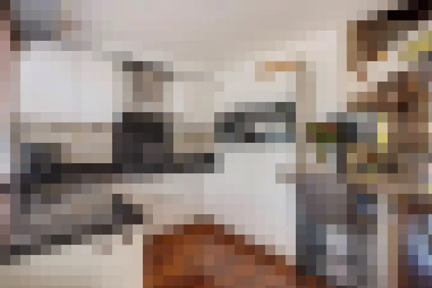 Seringenhove 28 Kwintsheul thumbnail 7