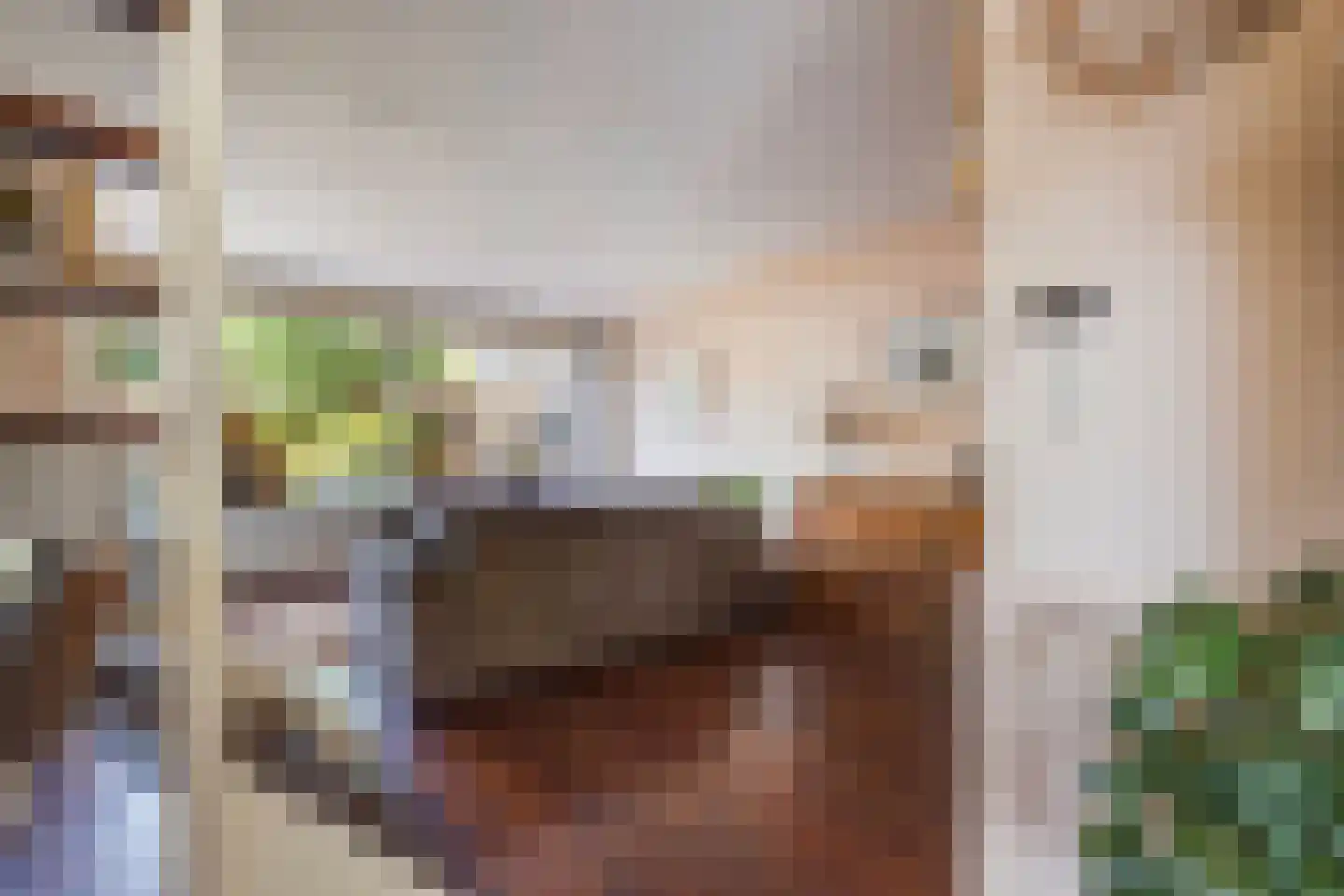 Seringenhove 28 Kwintsheul thumbnail 9