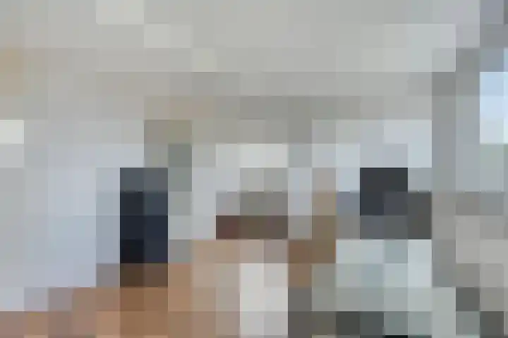 Seringenlaan 10 Hoek thumbnail 16