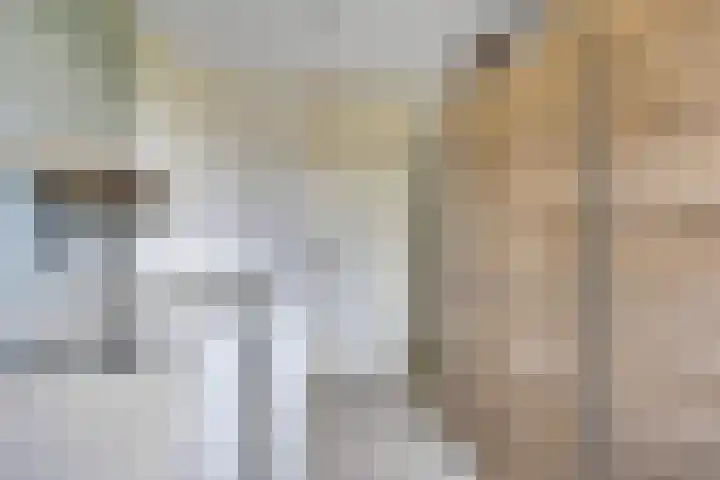 Seringenlaan 10 Hoek thumbnail 19