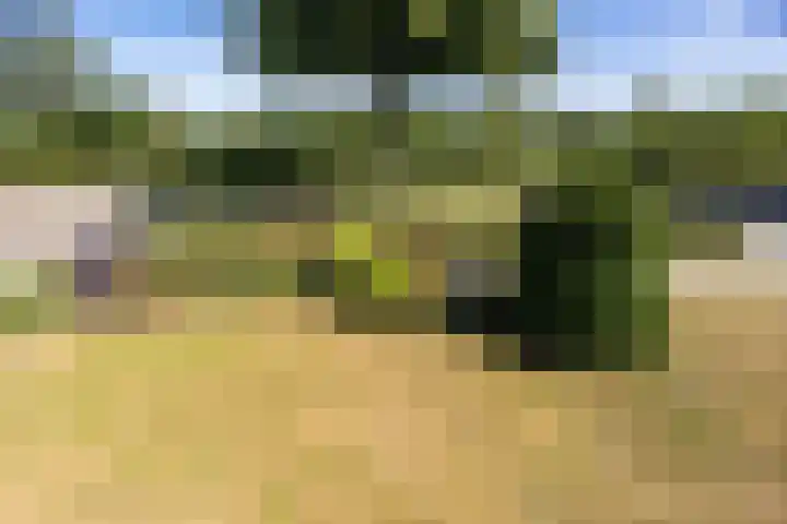 Seringenlaan 106 Steenbergen thumbnail 48