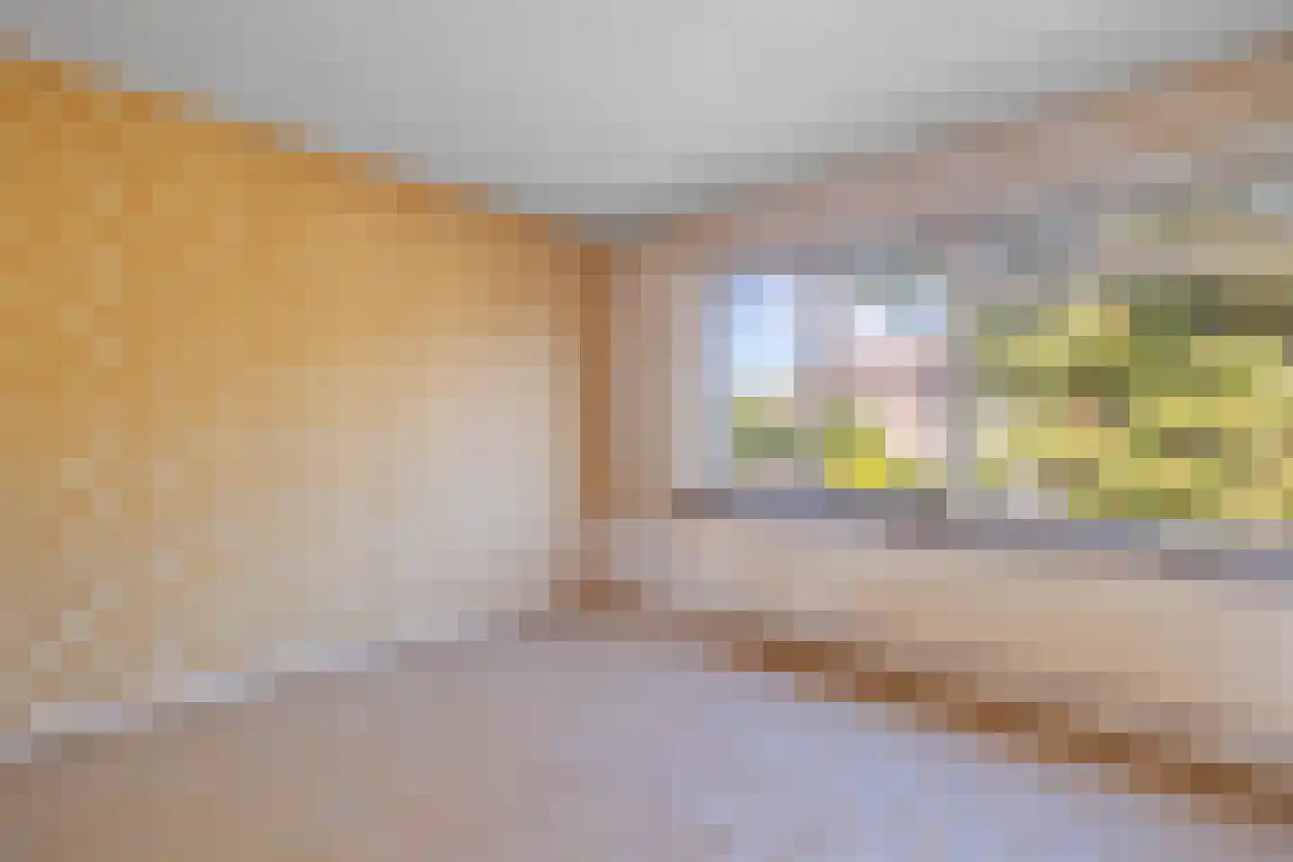 Seringenlaan 109 Hoogeveen thumbnail 13